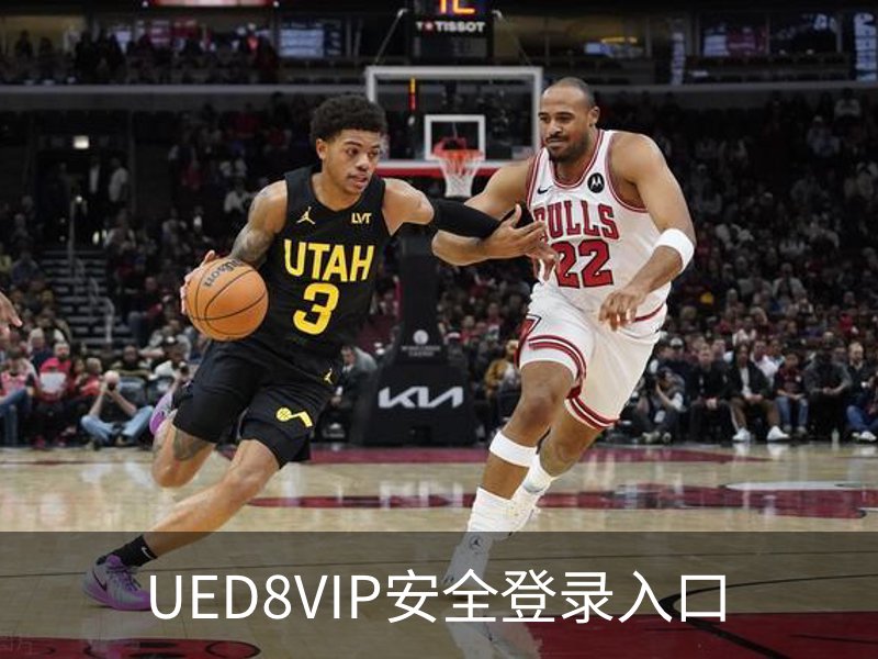 UED8VIP安全登录入口概况